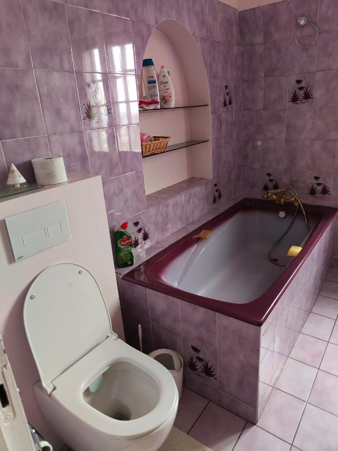 Chambre Grise Dans Une Demeure Du 16Eme A Saumur Comprenant Cuisine Equipee Exterior foto